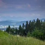 Gorce Oasis Chalet Szlembark