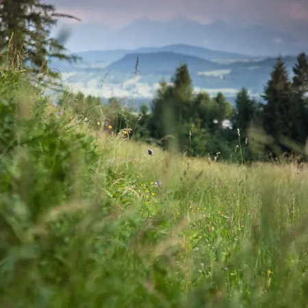 Alpehytte Gorce Oasis *