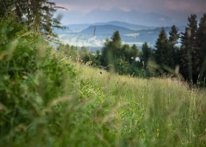 בקתה Gorce Oasis *